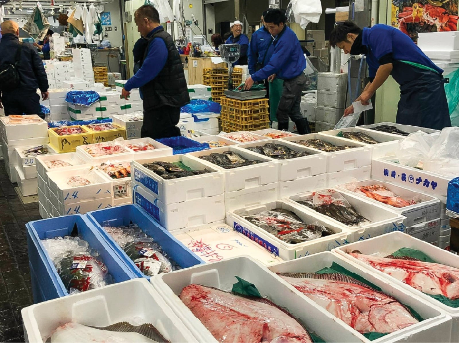Chợ hải sản tại Nhật Bản