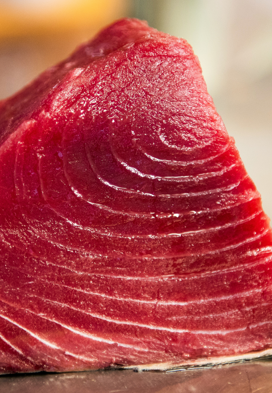 Cá ngừ Tuna