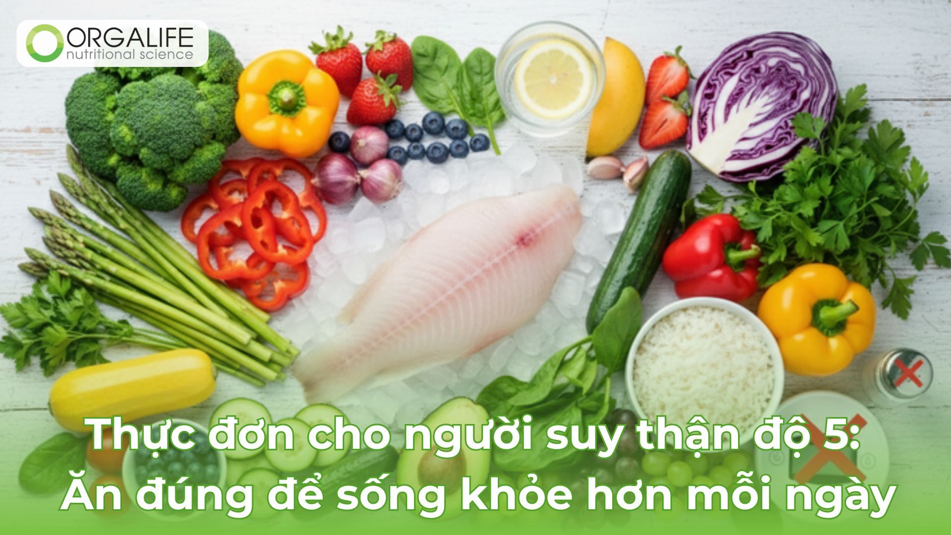 Thực đơn cho người suy thận độ 5: Ăn đúng để sống khỏe hơn mỗi ngày