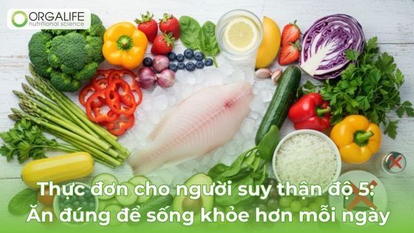 Thực đơn cho người suy thận độ 5: Ăn đúng để sống khỏe hơn mỗi ngày