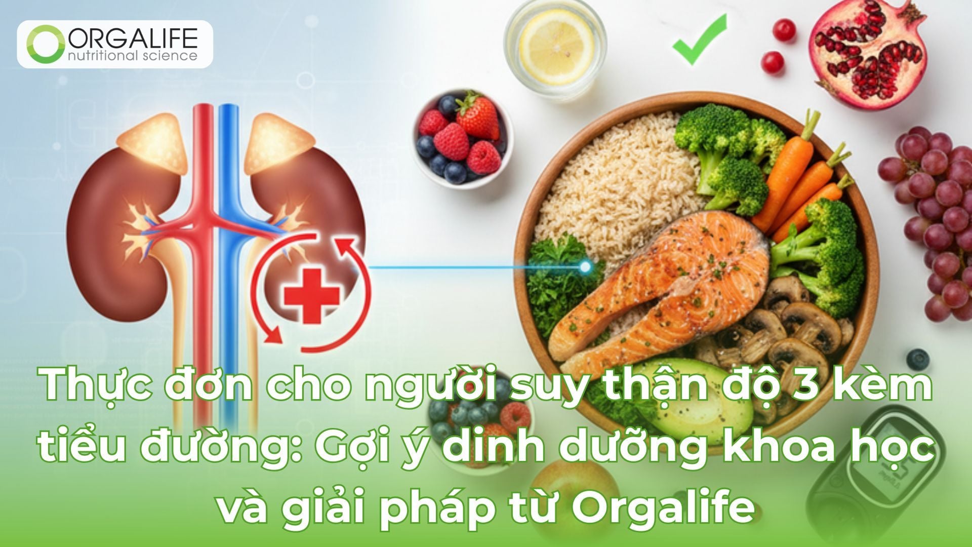 Thực đơn cho người suy thận độ 3 kèm tiểu đường: Gợi ý dinh dưỡng khoa học và giải pháp từ Orgalife