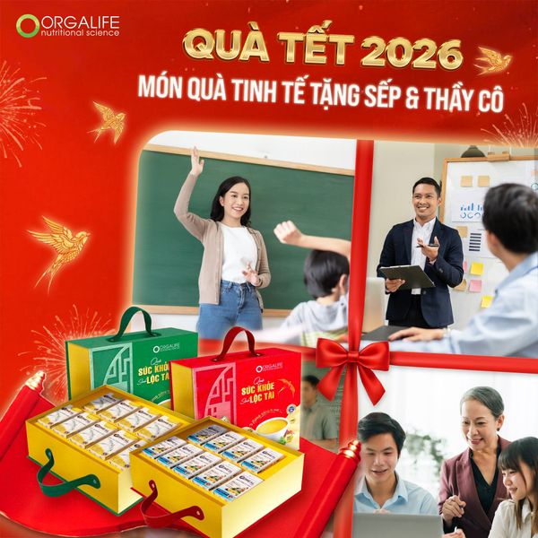 QUÀ TẾT 2026 – MÓN QUÀ TINH TẾ DÀNH BIẾU SẾP & THẦY CÔ