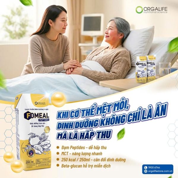 KHI CƠ THỂ MỆT MỎI, DINH DƯỠNG KHÔNG CHỈ LÀ ĂN – MÀ LÀ HẤP THU