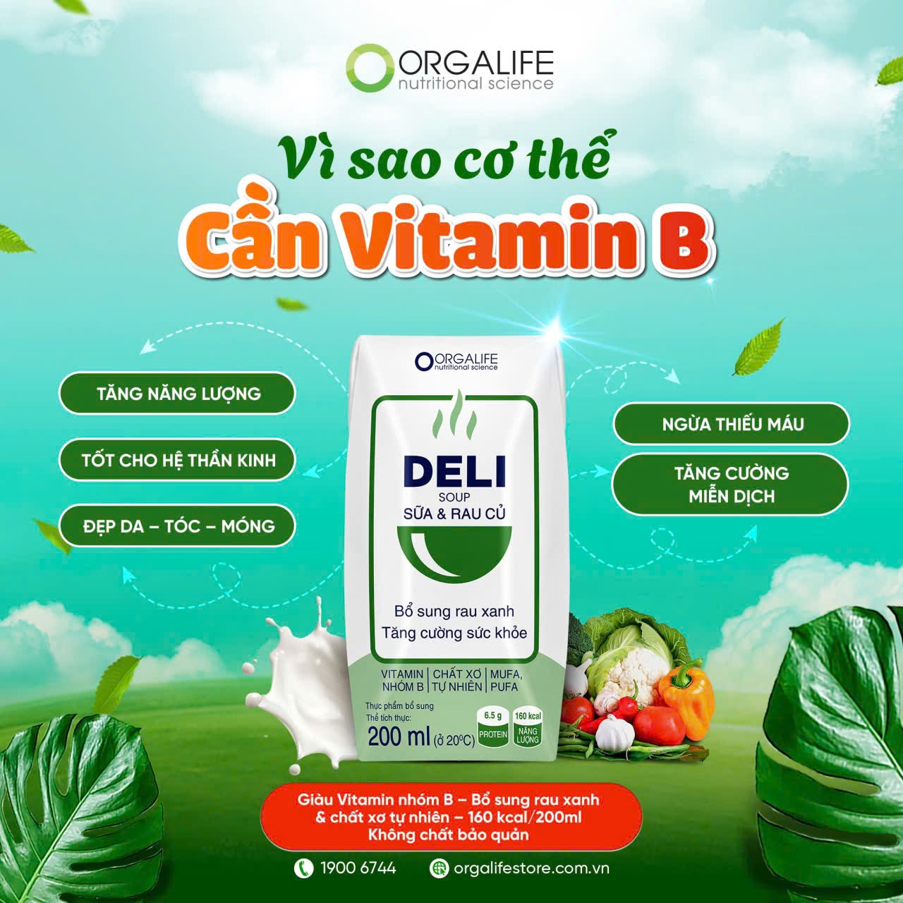 🌿 Vì sao cơ thể cần Vitamin B? 🌿