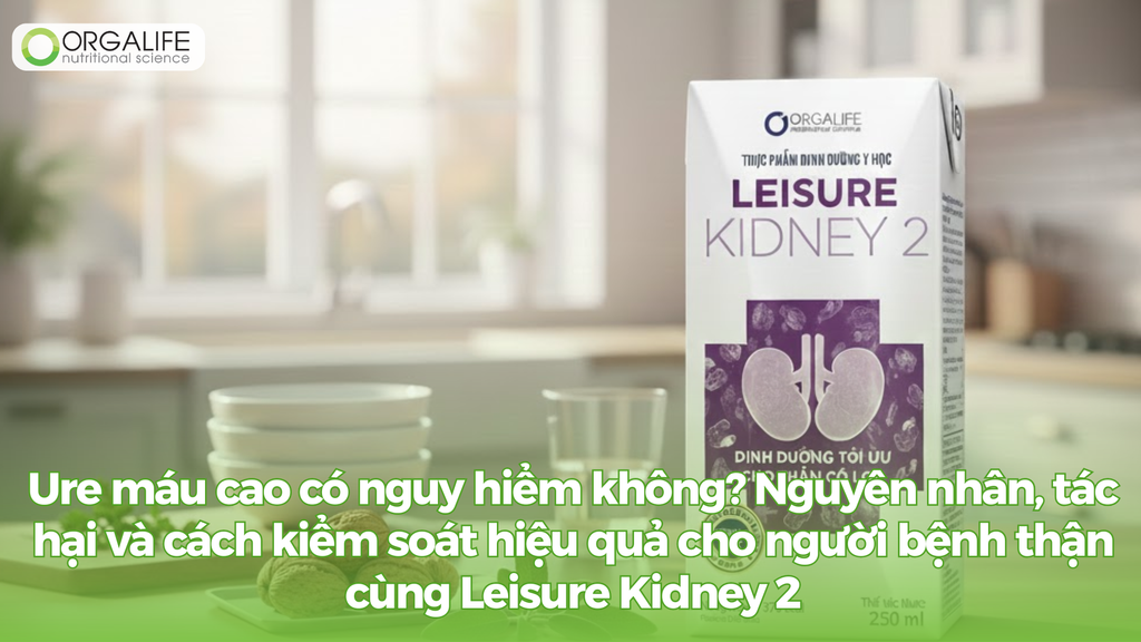 Ure máu cao có nguy hiểm không? Nguyên nhân, tác hại và cách kiểm soát hiệu quả cho người bệnh thận cùng Leisure Kidney 2