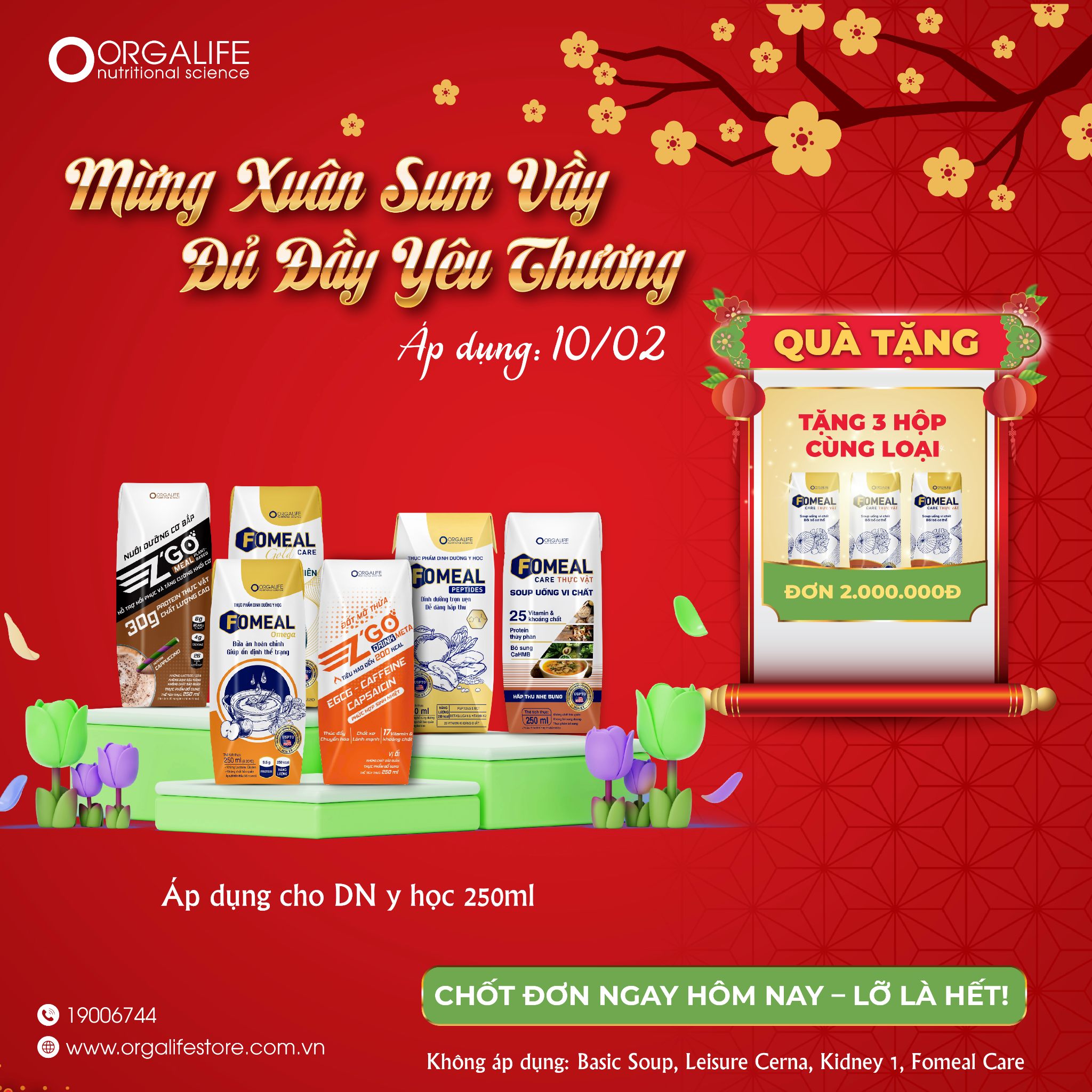 MỪNG XUÂN SUM VẦY – ĐỦ ĐẦY YÊU THƯƠNG