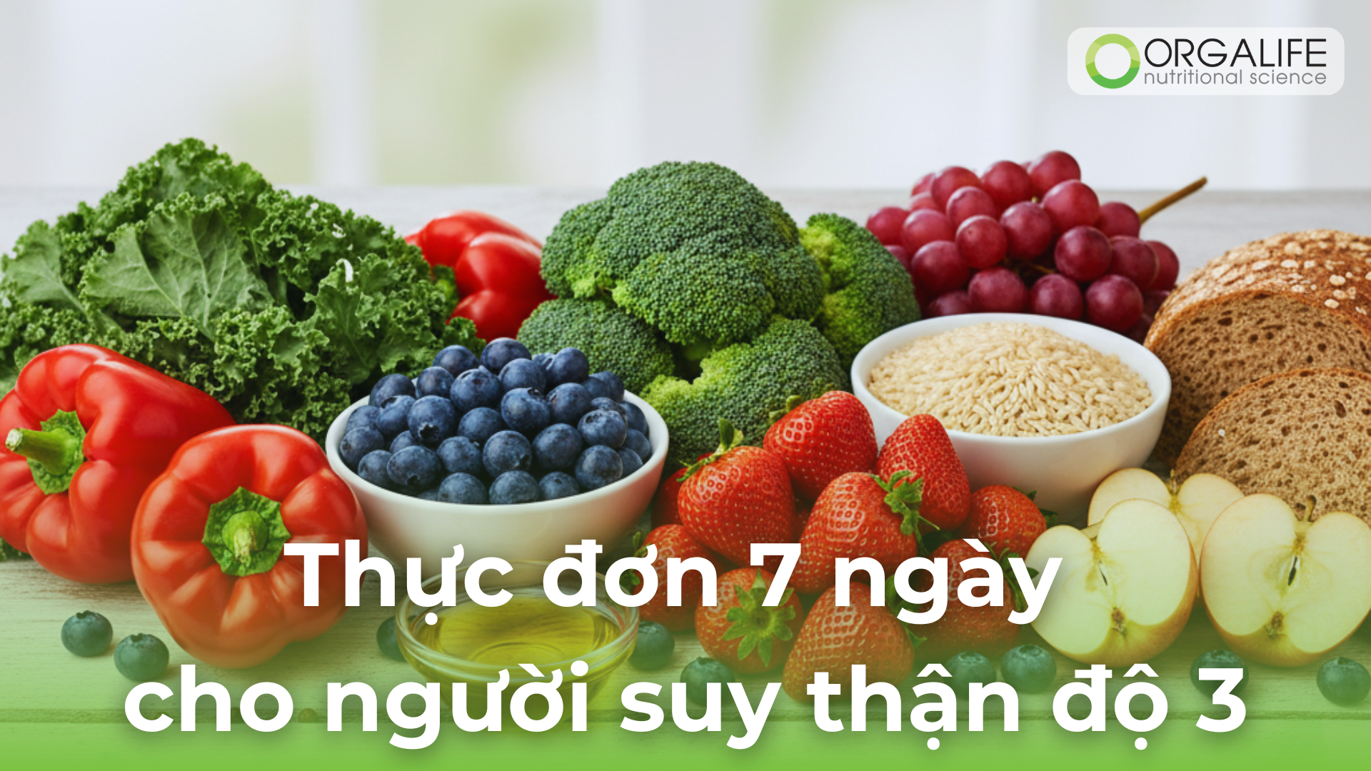Thực đơn 7 ngày cho người suy thận độ 3: Ăn gì để giảm triệu chứng và hồi phục?