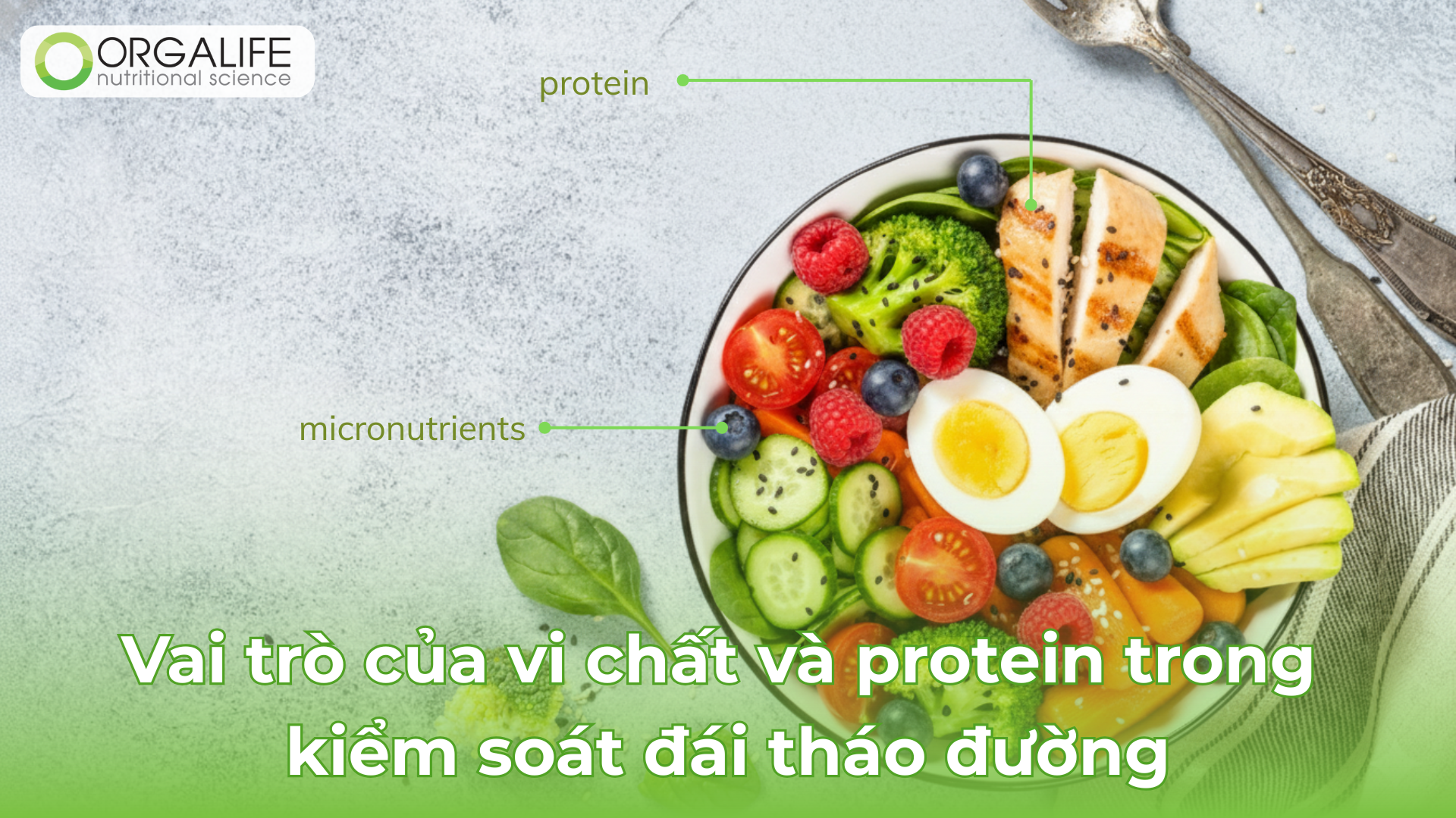 Vai trò của vi chất và protein trong kiểm soát đái tháo đường