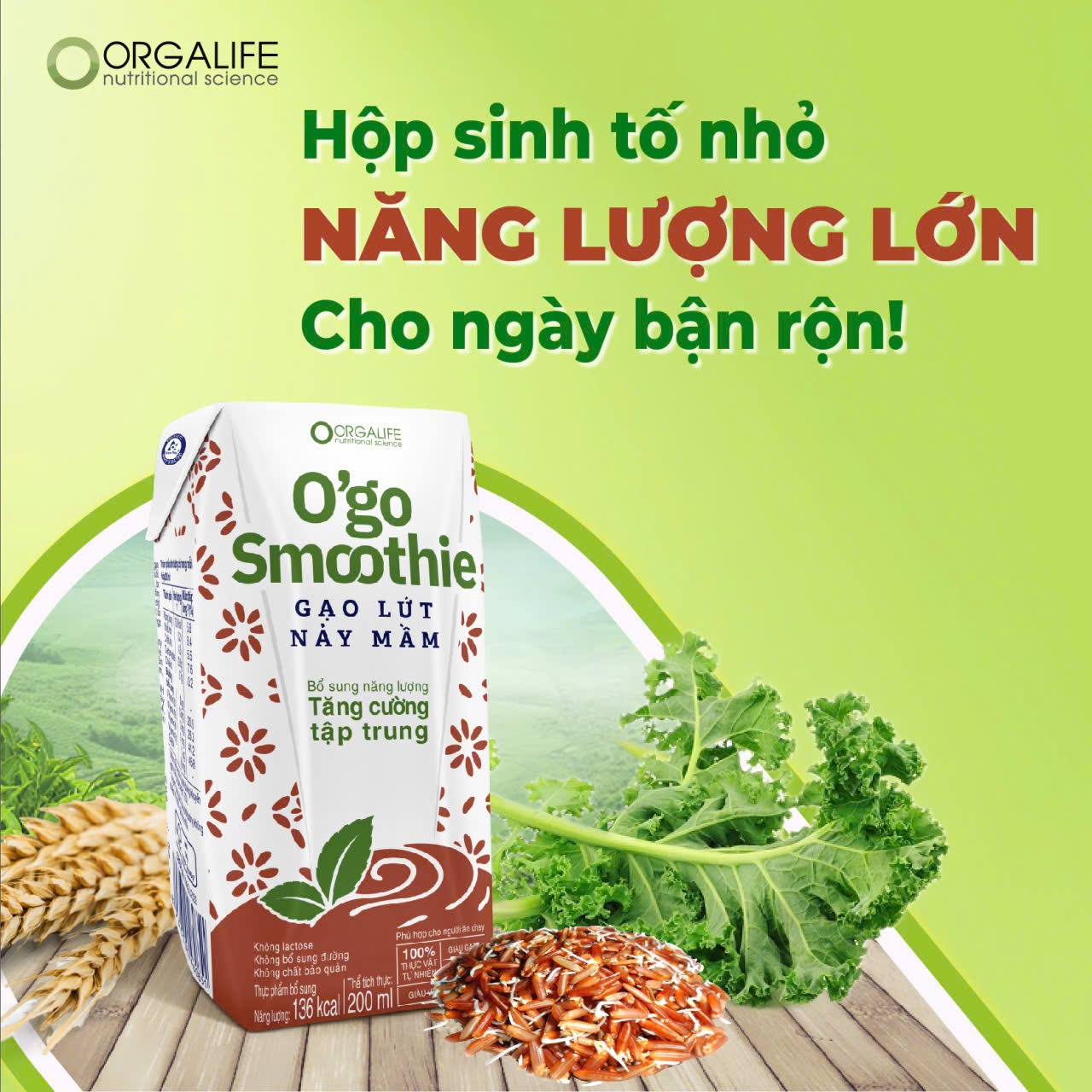 🌾 HỘP SINH TỐ NHỎ – NĂNG LƯỢNG LỚN CHO NGÀY BẬN RỘN! 🌾