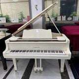 Đánh giá tổng quan về Grand Yamaha G5E- Lựa Chọn Hoàn Hảo Cho Không Gian Biểu Diễn Cao Cấp