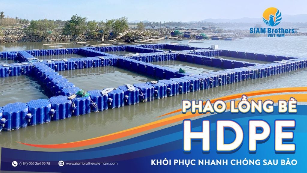 Phao lồng bè HDPE: Khôi phục nhanh chóng sau bão