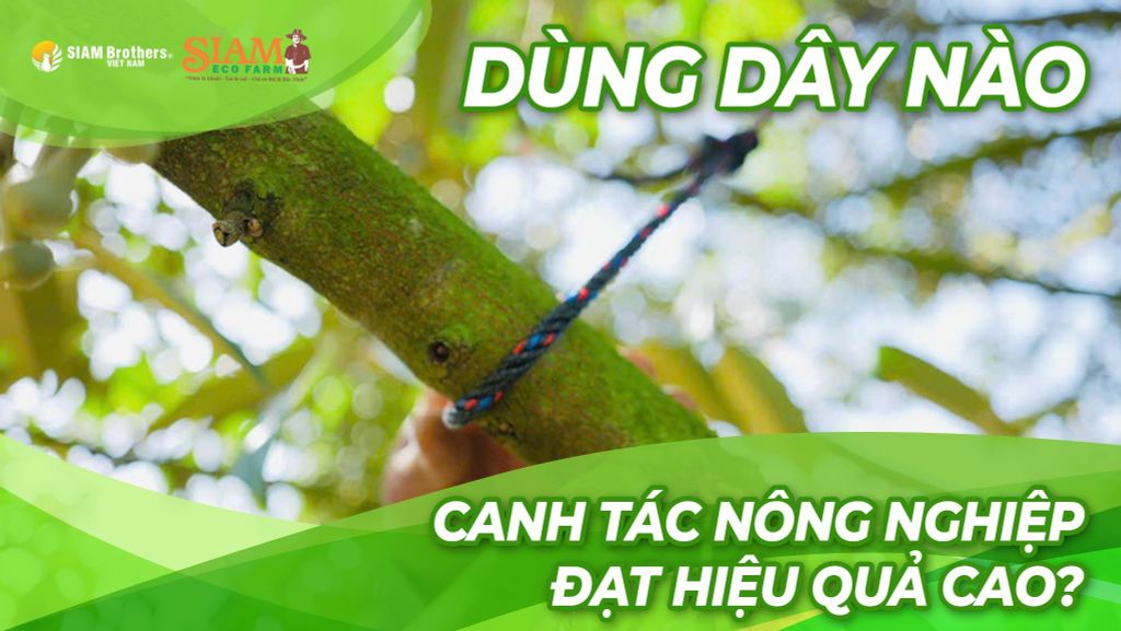 Loại dây nào nên dùng trong canh tác nông nghiệp để đạt hiệu quả cao?