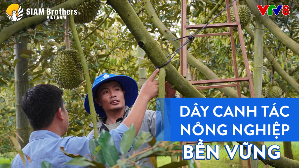 Chuyển đổi vật tư hướng tới canh tác bền vững