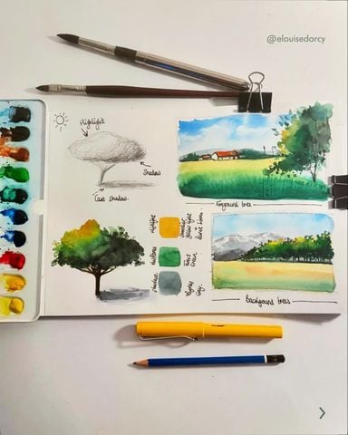 Bút LAMY Safari – Không chỉ để viết, mà còn là công cụ vẽ đầy cảm hứng