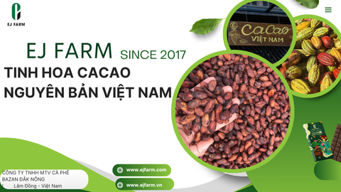 CATALOGUE CACAO EJ FARM