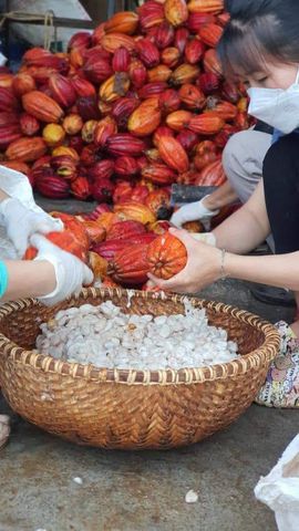 EJ FARM – BRAND STORY (한국어 (Korean)