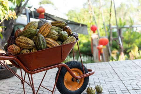 EJ FARM Tinh hoa nông sản – Dấu ấn bền vững
