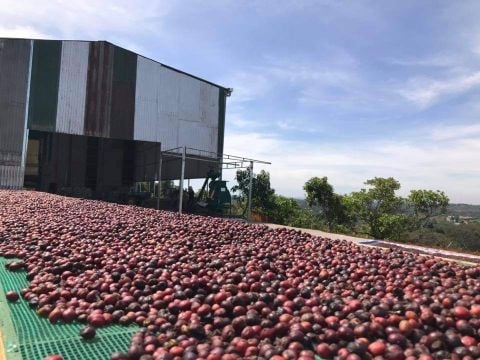 GACC là gì? Điều kiện xuất khẩu vào Trung Quốc