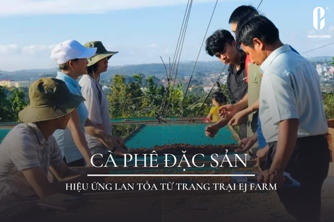 VÌ SAO HIỂU NGUỒN GỐC GIÚP BẠN UỐNG CÀ PHÊ NGON HƠN? | ENJOY COFFEE