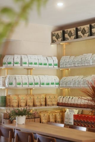 ☕ CÀ PHÊ ARABICA & ROBUSTA - HAI LINH HỒN KHÁC BIỆT CỦA HƯƠNG VỊ | ENJOY COFFEE