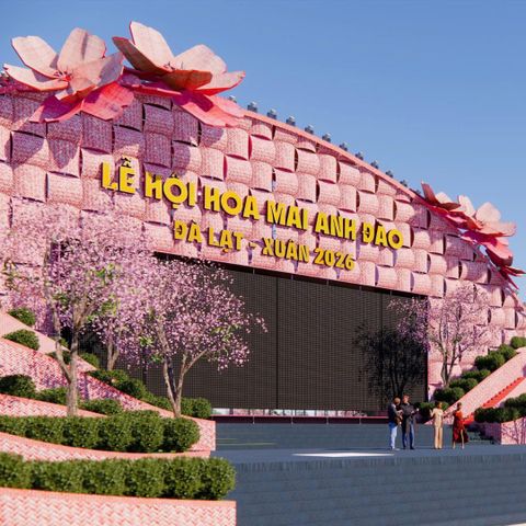 LỄ HỘI HOA MAI ANH ĐÀO ĐÀ LẠT XUÂN 2026 & TRẢI NGHIỆM 3IN1 TẠI ENJOY COFFEE ĐÀ LẠT