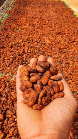EJ FARM CACAO – VIETNAM’S PREMIER FLAVOR EXPERIENCE