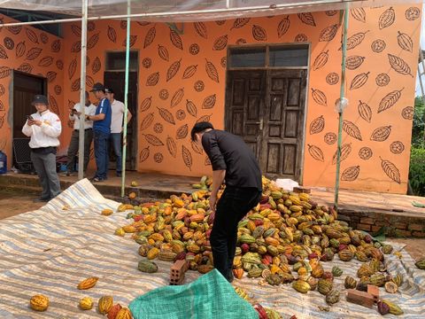 EJ Farm – Nhà cung cấp nguyên liệu cacao sỉ, bơ cacao, cacao mass chất lượng cao