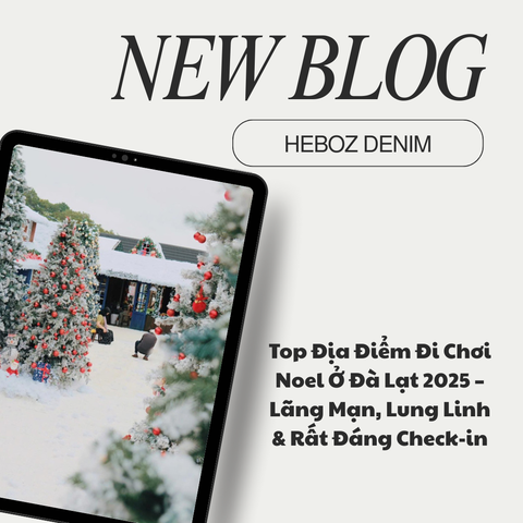 Top Địa Điểm Đi Chơi Noel Ở Đà Lạt 2025 – Lãng Mạn, Lung Linh & Rất Đáng Check-in