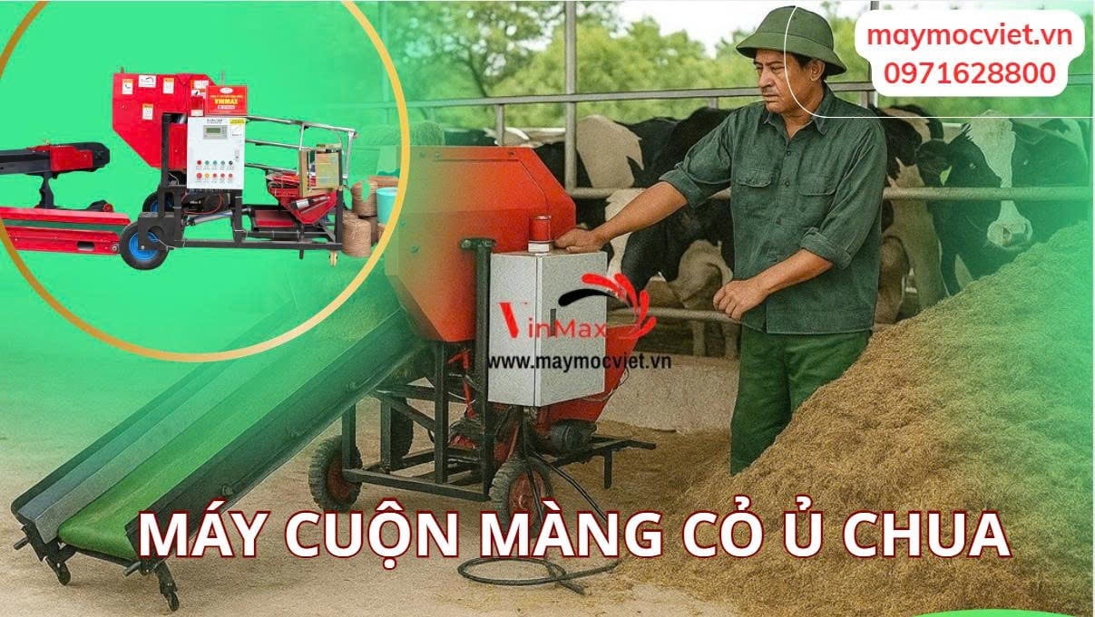 Mô hình sản xuất thức ăn TMR trong chăn nuôi bò sữa – Giải pháp dinh dưỡng hiện đại