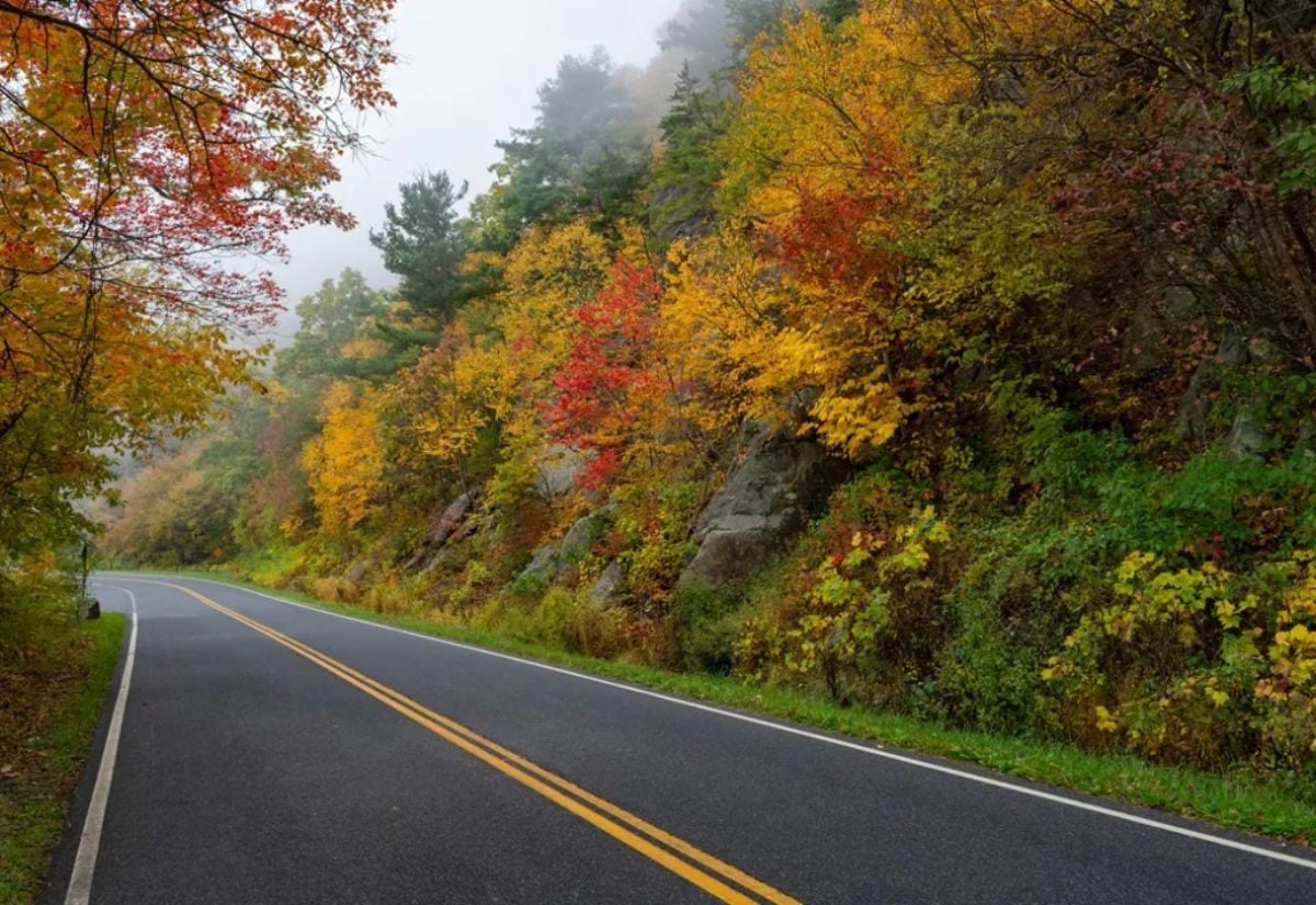 Skyline Drive