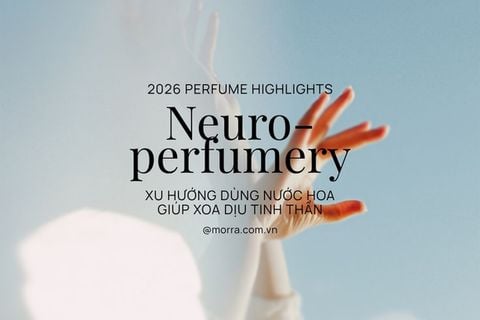 Key Highlights 3 | Nước hoa Neuroperfumery