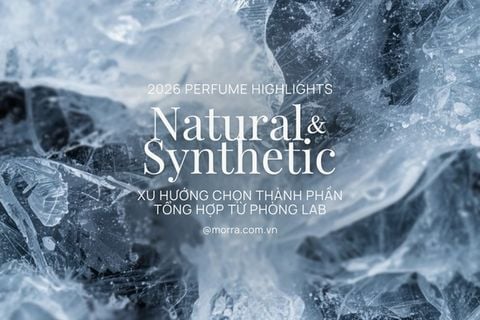 Key Highlights 4 | Thành phần Natural và Synthetic