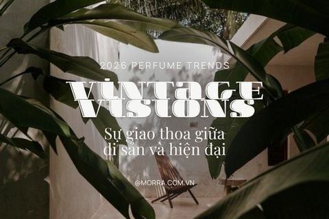 Vintage Visions | Sự giao thoa giữa di sản và hiện đại