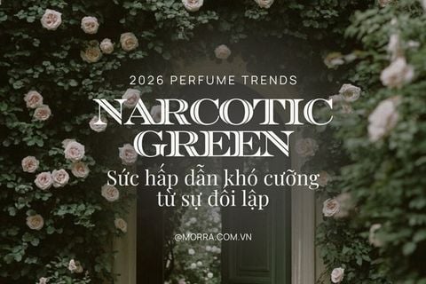 Narcotic Green | Sức hấp dẫn khó cưỡng từ sự đối lập