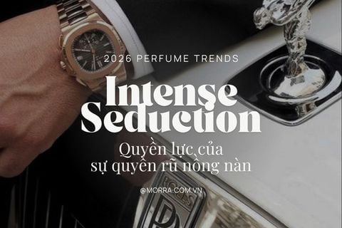 Intense Seduction | Quyền lực của sự quyến rũ nồng nàn