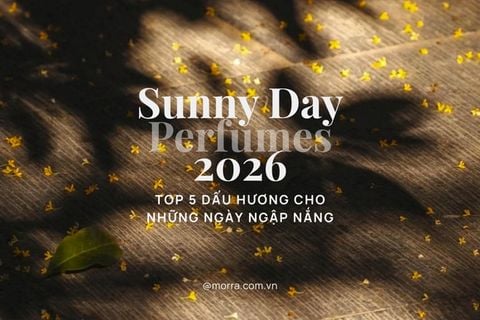 Sunny Day Perfumes 2026 | Nước hoa cho những ngày đầy nắng