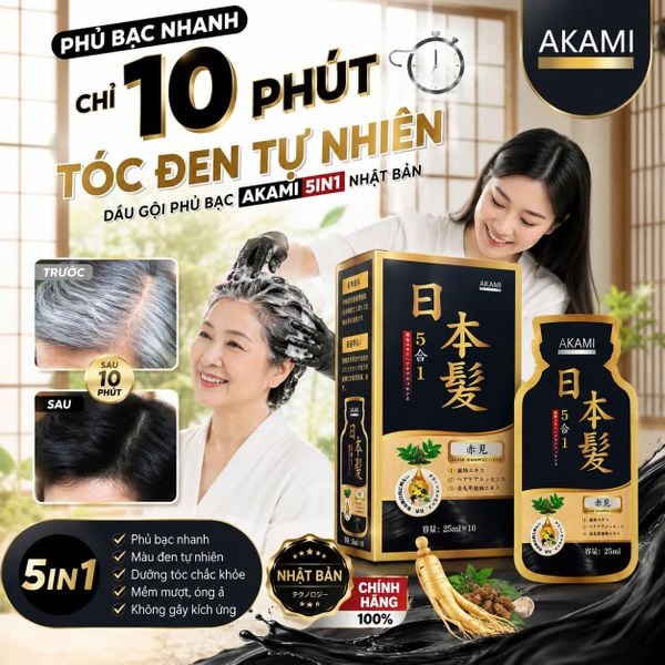 Phủ bạc tóc tại nhà cùng akami nhật bản