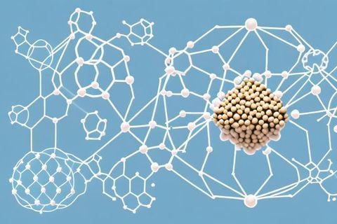 Đậu nành thủy phân: Peptide thực vật – Nuôi dưỡng làn da khỏe mạnh từ bên trong