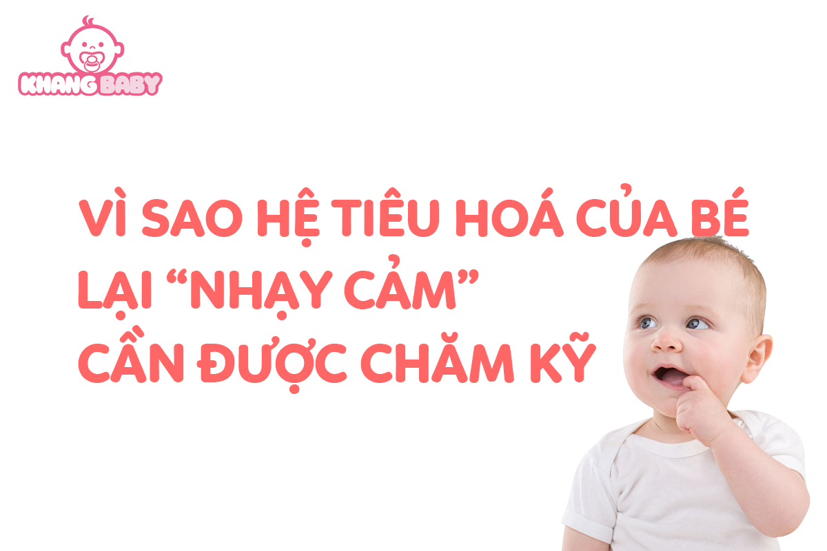 Vì sao hệ tiêu hoá của bé lại “nhạy cảm” và cần được chăm kỹ