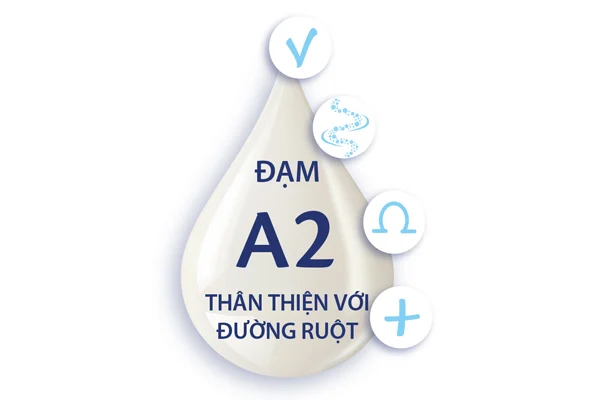 Đạm A2 là gì? Sữa đạm A2 có tốt cho bé không?