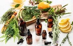 Mỹ phẩm thuần chay là gì? Có tốt không?