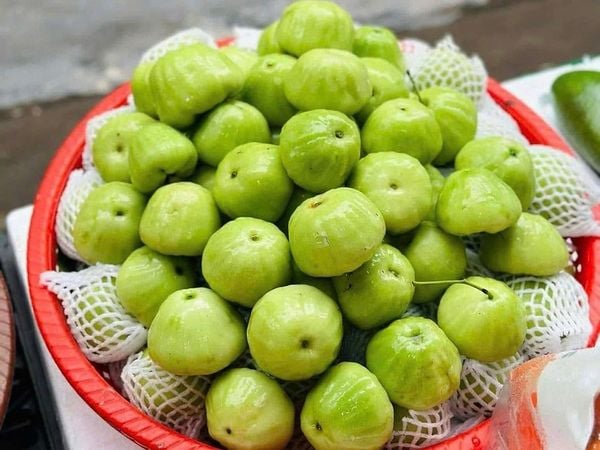 Quả mận xanh đường thơm ngon, ngọt lịm và mát rượi.