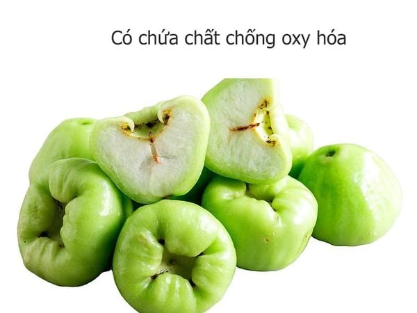 Mận xanh đường là loại quả cực giàu chất chống oxy hóa.
