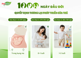 Vì Sao 1000 Ngày Đầu Đời Quyết Định Tương Lai Phát Triển Của Trẻ?