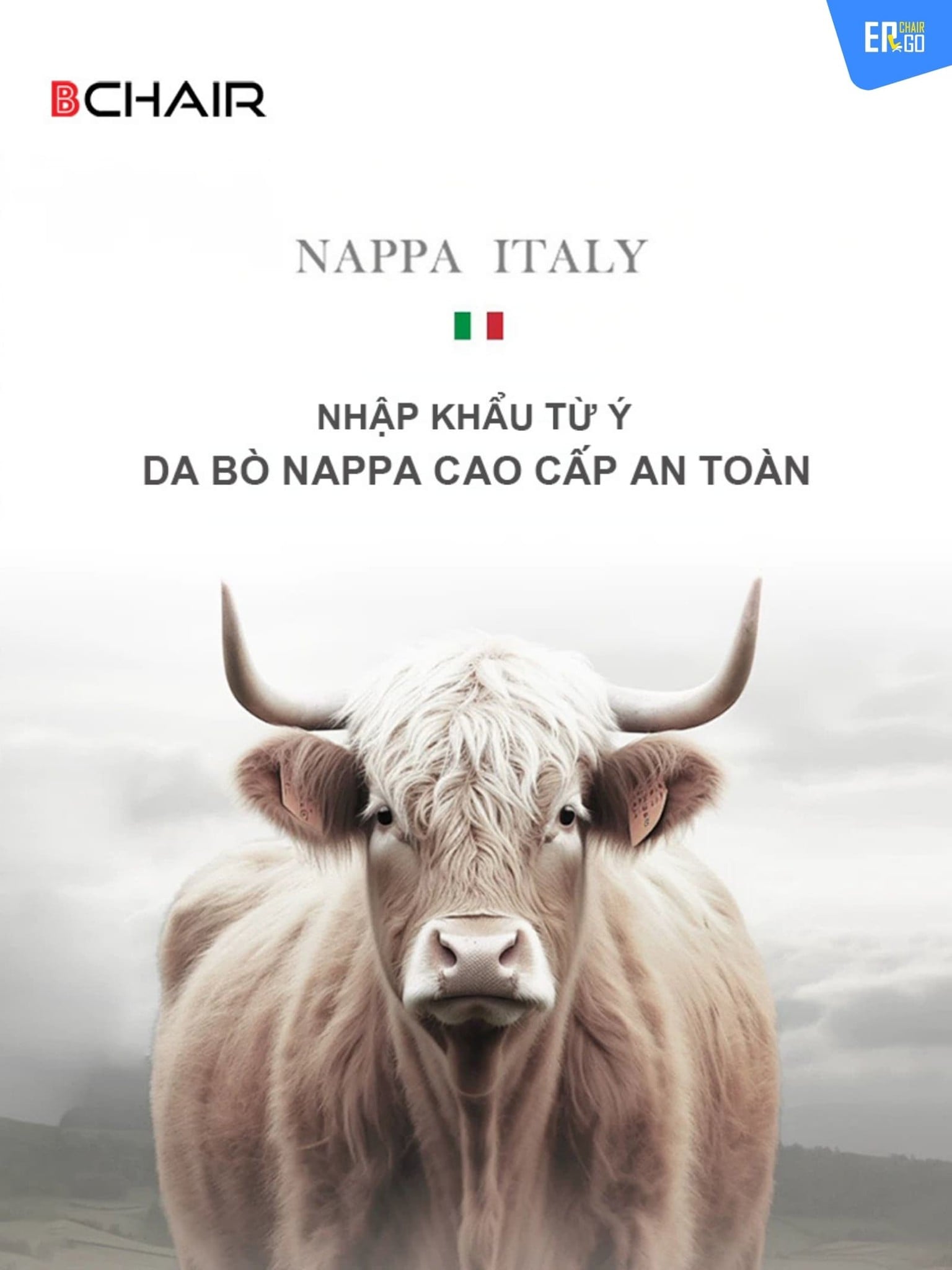 Ghế công thái học B-Chair BC-007F được bọc da bò Nappa nhập khẩu Ý, vân kim cương, bề mặt đục lỗ thoáng khí