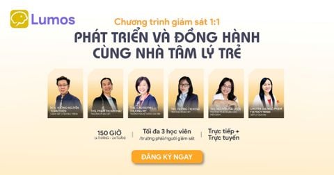 CHƯƠNG TRÌNH GIÁM SÁT | PHÁT TRIỂN VÀ ĐỒNG HÀNH CÙNG NHÀ TÂM LÝ TRẺ