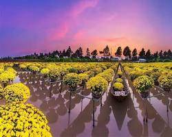 Vay Nhanh Chóng Bằng iCloud iPhone tại Đồng Tháp: Giải Pháp Tài Chính Cá Nhân Hoàn Hảo