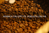 Làm thế nào để phân biệt hạt cà phê Arabica Cầu Đất và Robusta Lâm Hà chuẩn xác nhất?