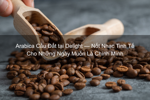 Arabica Cầu Đất tại Delight — Cho Những Ngày Muốn Là Chính Mình
