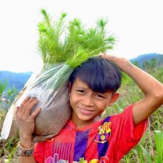 GREEN RUN – Vận động xanh, gieo mầm sự sống